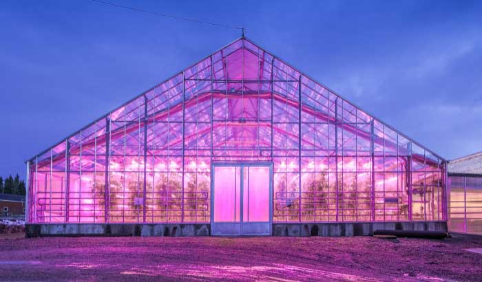 uv lights for greenhouses